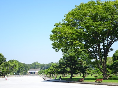 桜田門と外苑