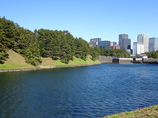 正面に桜田濠の土塁、奥には丸の内のオフィスビルが写っています。
