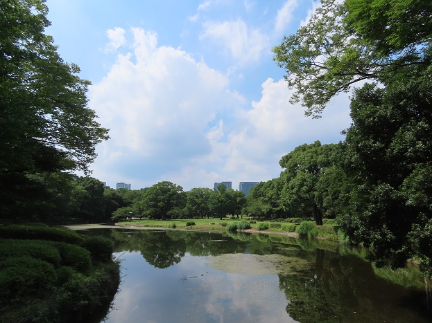北の丸公園内にある中の池と呼ばれる池と青空の画像です。