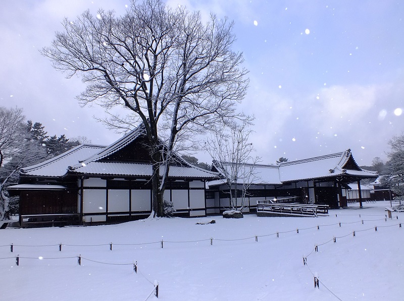 20160120u (22)雪の宮邸跡.JPG