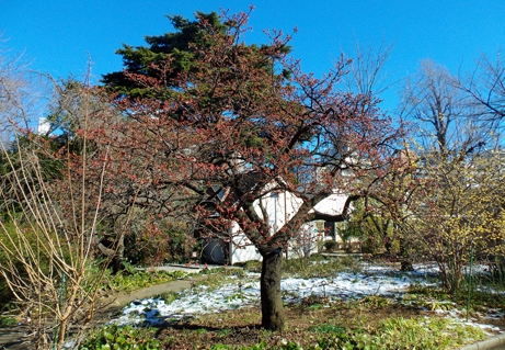y02.JPG