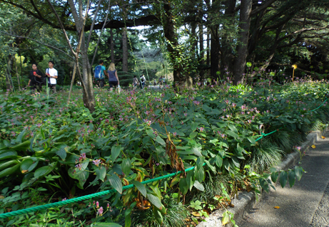 150921s05.JPG