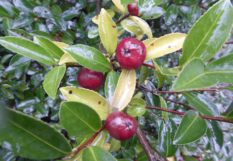 150925s035.JPG