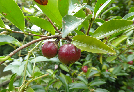 150926s05.JPG