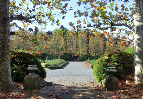 y02.JPG