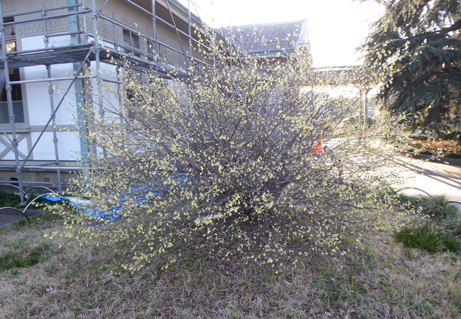 160325s27.JPG
