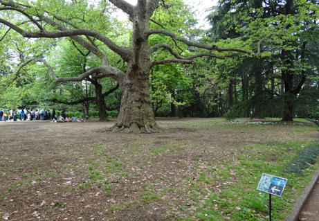 02.JPG