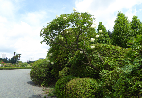 160728s5.JPG