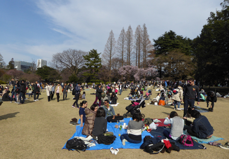 170402m233.JPG