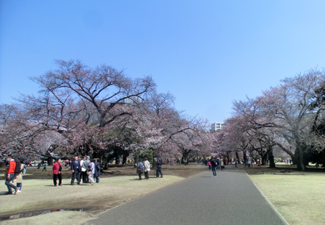 170404ie.JPG