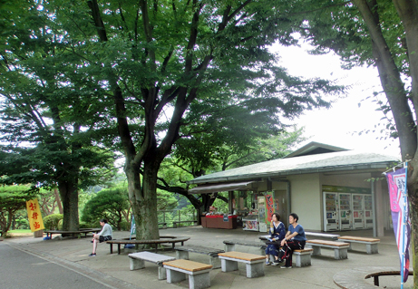 ほっとひと息 特色ゆたかな休憩所でひと休みしませんか 新宿御苑 一般財団法人国民公園協会