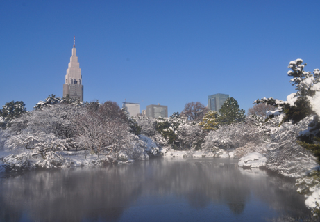 青空に映える雪景色 新宿御苑 一般財団法人国民公園協会