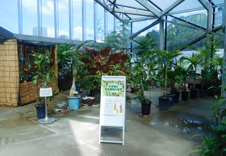 大温室で 不思議な食虫植物の世界 食虫植物展を行っています 新宿御苑 一般財団法人国民公園協会