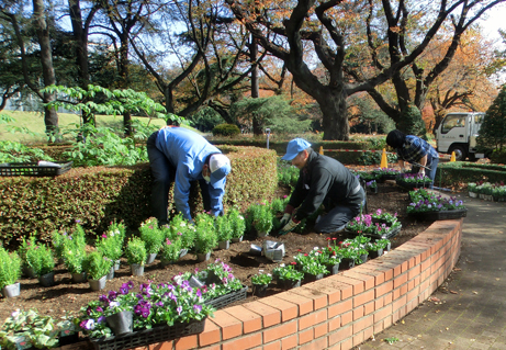 丸花壇の植え替えを行いました 新宿御苑 一般財団法人国民公園協会