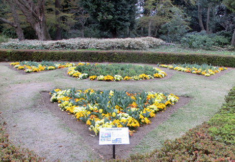 春の彩り 丸花壇と三角花壇で皇室献上チューリップが開花しました 新宿御苑 一般財団法人国民公園協会