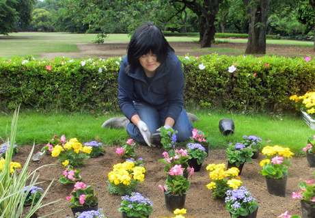 丸花壇と三角花壇の植え替えを行いました 新宿御苑 一般財団法人国民公園協会