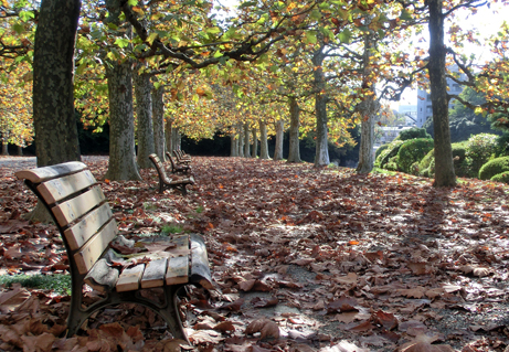 お知らせ 新宿御苑 一般財団法人国民公園協会