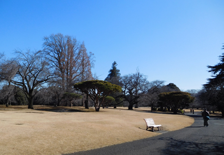 お知らせ 新宿御苑 一般財団法人国民公園協会