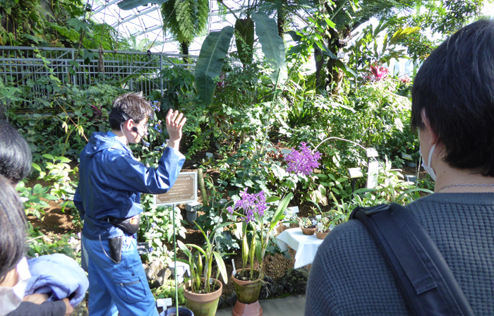 2月の大温室鑑賞教室を開催しました 新宿御苑 一般財団法人国民公園協会