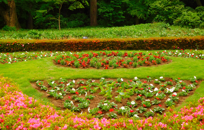 花壇の植替えを行いました 新宿御苑 一般財団法人国民公園協会