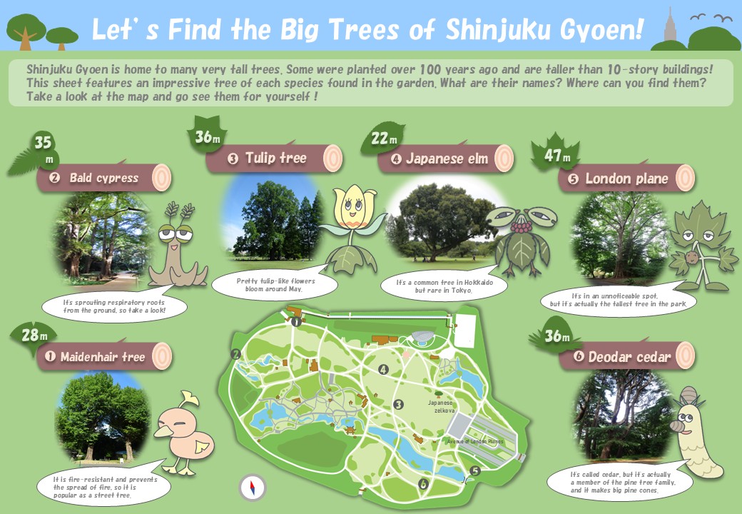 南国大樹桃色邸庭図 20250828trees_en02.jpg