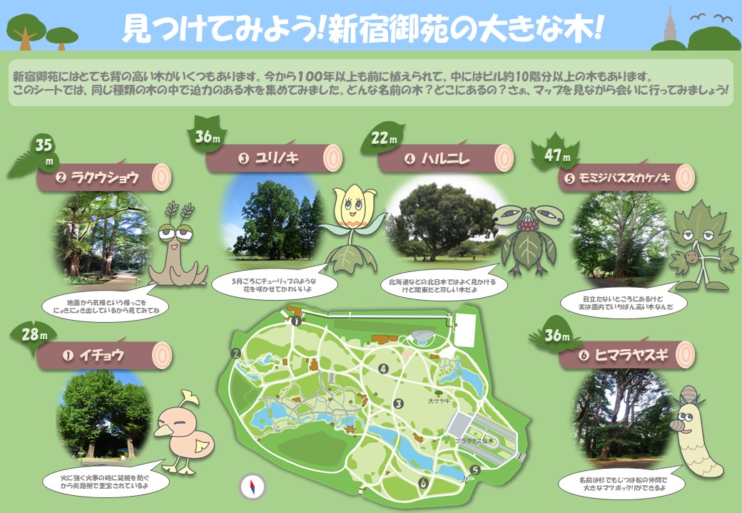 ★「新宿御苑に於ける和菊の伝統的栽培法写真図説」　東京農業大学図書館　（二冊） ☆「新宿御苑に於ける和菊の伝統的栽培法写真図説」 東京