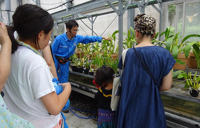 イベント情報(アートギャラリーなど)【8月22日】 : 新宿御苑 | 一般