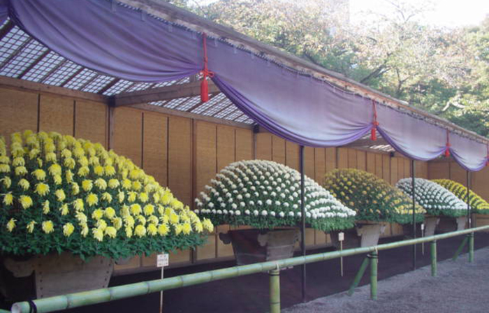 2025 8月 : 新宿御苑 | 一般財団法人国民公園協会