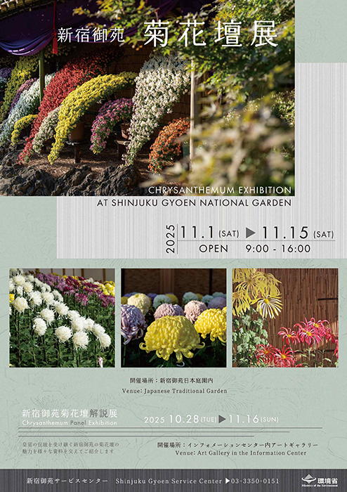 新宿御苑菊花壇展」の開催について : 新宿御苑 | 一般財団法人国民公園協会