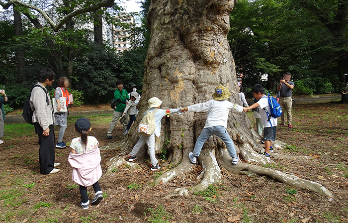 新宿御苑で自然観察といきもの図鑑づくりたいけん」を開催しました