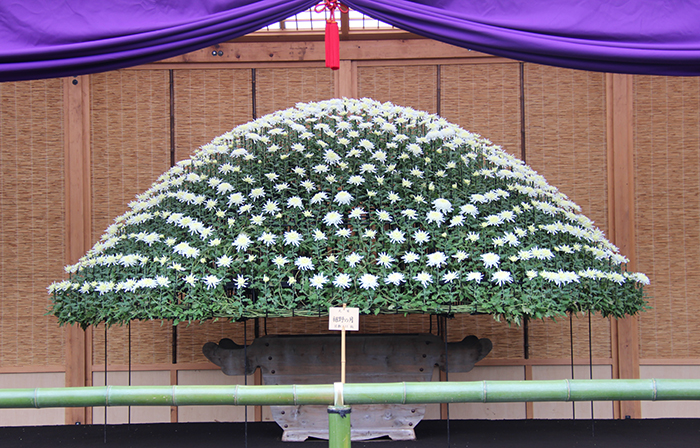 日本庭園で上家(うわや)作りがはじまりました : 新宿御苑 | 一般