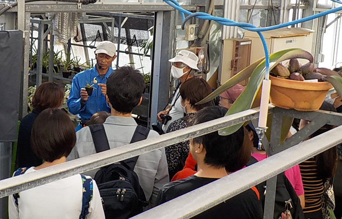 イベント情報(パークガイドなど)【11月28日号】 : 新宿御苑 | 一般財団