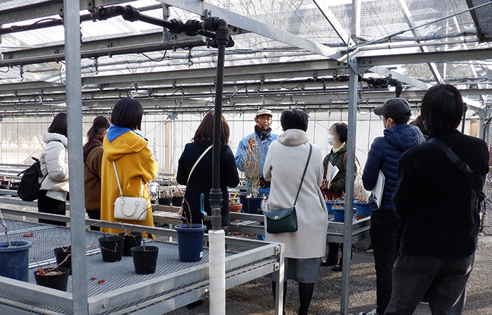 イベント情報(ガイドウォークなど)【1月9日号】 : 新宿御苑 | 一般財団