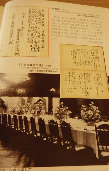 新宿御苑開園120年と昭和100年～歴史をつなぐ】皇室庭園時代 : 新宿